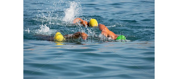 zwemmen-zwemmers-zee-plaatjes_csp40727882